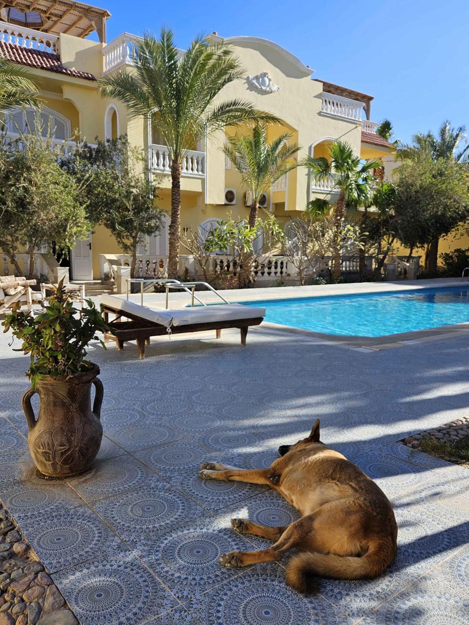 Villa Shahrazad Hurgada Dış mekan fotoğraf