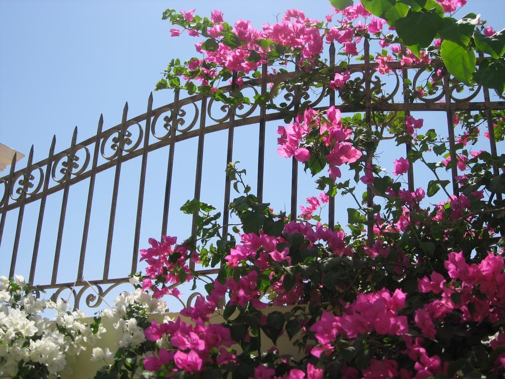 Villa Shahrazad Hurgada Dış mekan fotoğraf